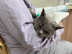 -爱派特动物医院·全科诊疗中心