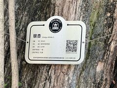 -苏州文庙(姑苏区)