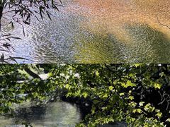-阿哈湖国家湿地公园
