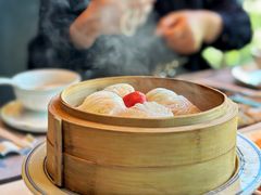 -新兴·金羊座·粤菜点心(乐峰店)