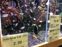 -龟与熊猫宠物公园(南坪店)
