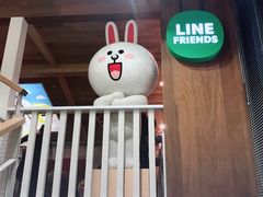 -line friends(明洞旗舰店)