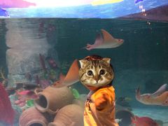 -沈阳海洋探索中心