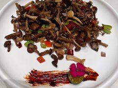 美极菌菇-蝶园·装修中(BFC外滩金融中心店)