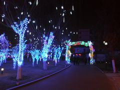 -雁滩公园