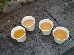 -明月山天沐温泉度假村