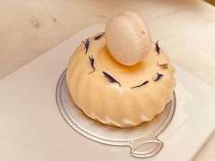 -PAUL LAFAYET 法式甜品(港汇广场店)