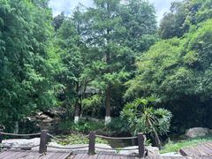 -广西壮族自治区药用植物园