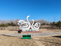 -东郊湿地公园