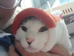 -达爱动物医院·犬猫分区·CT·复杂眼科(远洋山水分院)