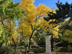 -元大都城垣遗址公园