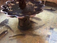 -万里闯关东铁锅炖菜馆(高新旗舰店)