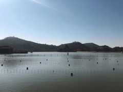 -顺峰山公园