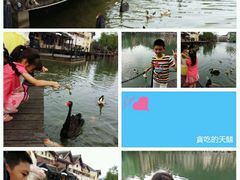 android_upload_pic-深圳东部华侨城瀑布酒店
