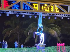 -渔家火锅·海鲜自助餐·演艺(亚龙湾天域酒店)