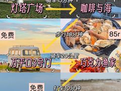 -日照海滨国家森林公园