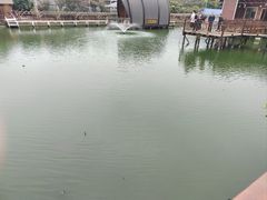 -翔雄农庄