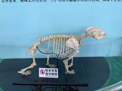 -沈阳森林动物园