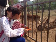 -西安秦岭野生动物园