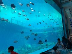 -瑞德姆美人鱼海底演艺主题餐厅(亚龙湾店)
