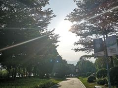 -光明港公园