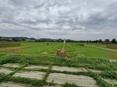 -良渚古城遗址公园