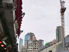 -油麻地果栏