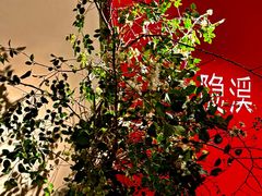 -隐溪茶馆(静安寺店)