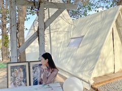 -安德鲁户外烧烤帐篷营地(马泉营店)