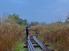 -西溪国家湿地公园