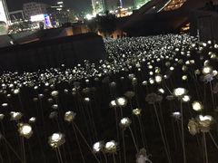 -东大门市场