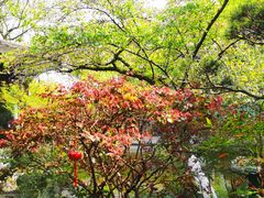 -乾园.魏庐湖景餐厅(花港店)