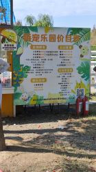 -前小桔亲子创意农场·草莓采摘·露营烧烤