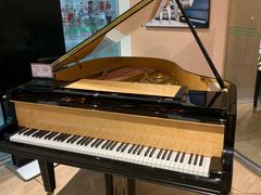 -柏斯音乐艺术中心·钢琴·吉他(世纪金源店)