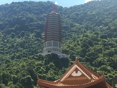 -深圳仙湖植物园