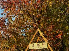-塔川景区