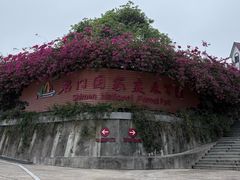 -广州市石门国家森林公园
