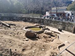 -无锡动物园·太湖欢乐园
