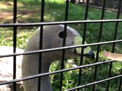 -费瑟代尔野生动物园