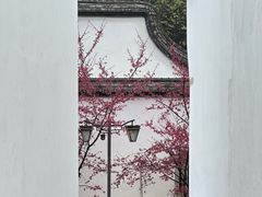 -乌山风景区