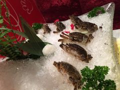 海底捞火锅店(吴中路店)-海底捞火锅(吴中路店)