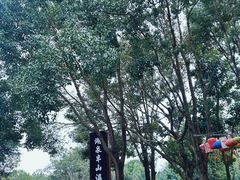 -湖泉半山温泉