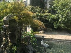 -广富林宰相府酒店·水云间