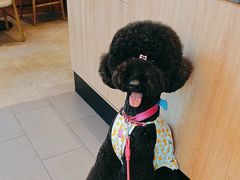 -COSTA COFFEE(上海虹口公园店)