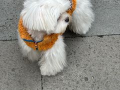 -富民路210弄小区