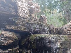 -隐食私房菜(渡口·光荣院南门·老街店)