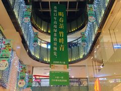 -鹏欣水游城