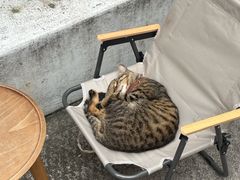-懒鱼时光馆(沙坪坝店)