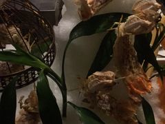 -雍和会海鲜姿造自助(湖东路店)