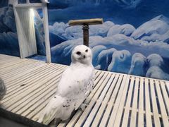 -成都浩海立方海洋公园